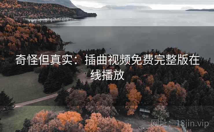 奇怪但真实：插曲视频免费完整版在线播放